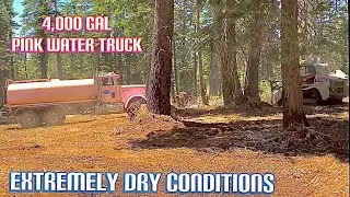Knocking out a 5 Acre mulching job in ONE day with a skid steer