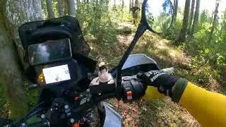KTM 890 Adventure R forest ride