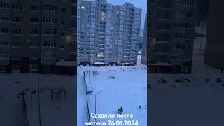 26 января 2024 г.