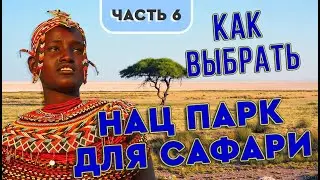 Сафари в Танзании 🌴 Национальные парки Африки