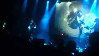 Dolphin - Васильки