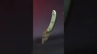 Открыл Scorpion case