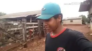 Fui/ para /o/ sítio/ para /matá /o /porco /pro /Natal