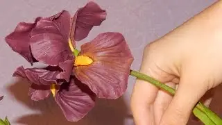 Ирис из холодного фарфора \ Iris of cold porcelain