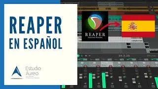 Cómo cambiar el idioma de Reaper a español