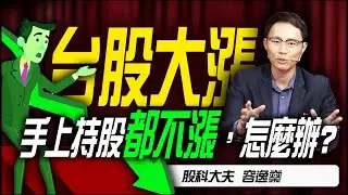 怎麼辦? 台股大漲，手上持股都不漲 !｜理財公道伯｜李永年｜容逸燊