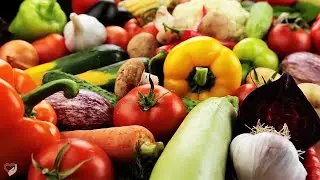 The Cardiovascular Institute: Plant Based Nutrition Uri M. Ben-Zur