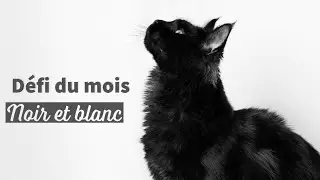 Défi photo du mois d'août - Noir et blanc