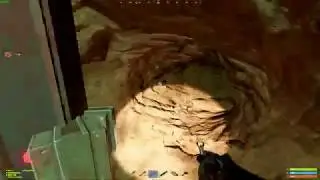 They left all their doors open.......