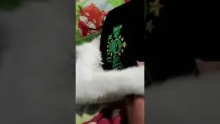 iku saking ulomo alamt versi kucing