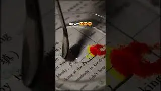 Красота химии😍 #chemistry #ент #егэхимия