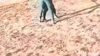 Бо як кехлина капидан
