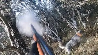 FURIA DE LA ARMIÑÉN General 2019 2020 I