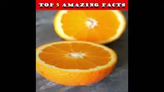 Top Facts in the World || Interesting facts || Facts || informative facts || SHAHID TV