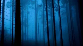 [СОЗДАНИЕ ИГРЫ ЗА 10 МИНУТ] Horror - Forest | Unity 5