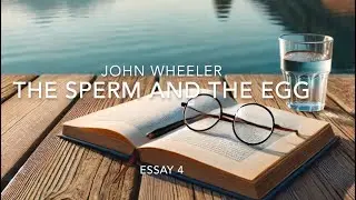 John Wheeler: How Duality first takes hold.  #Advaita