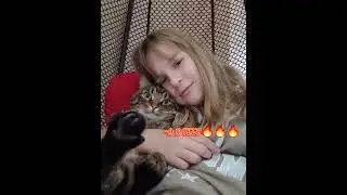 Ну как он это не поймёт 😖😫😣#актив #рекомендации #хочуврек #хочувтренды #я #кот