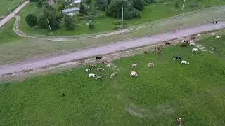 Сыр(5)