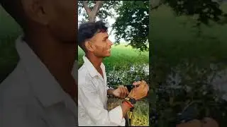 #shortvideo #trending #funny😂 #funnyvideo #viral #road#poses #nikon_d5600 with70-300mm photography📸