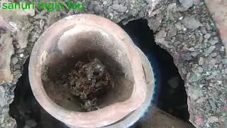 cara melogamkan serbuk emas yang tepat