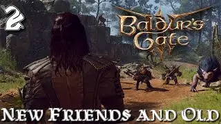 New Friends and Old #2 (Baldur's Gate 3)