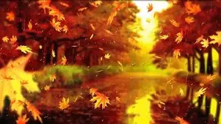 15 Minute Meditation | Oneness With Nature | Connect to Your Higher-Self