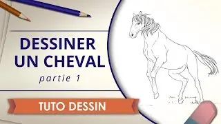 Dessiner un cheval (Partie 1) - Tuto Dessin