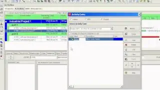 Primavera P6 Create and Assign activity codes to activities
