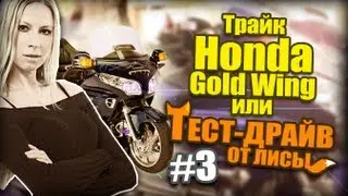 Трайк Honda Gold Wing или Тест Драйв от Лисы #3