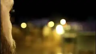 Adam güzel sölemiş 👍
