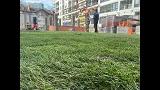 Радонеж. Ландшафтный дизайн
