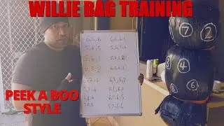 Willie Bag Training | Peek A Boo Style Combos