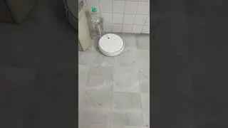 Because we are too lazy to vacuum the house. Mi Robot vacuum - Mop 2