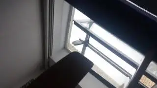 Как правильно надо выгонять голубей из класс;)