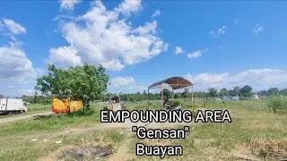 EMPOUNDING AREA 