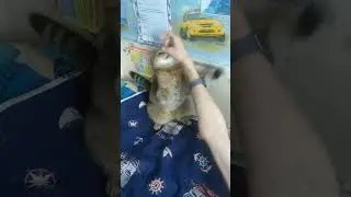 борьба за уважение к себе