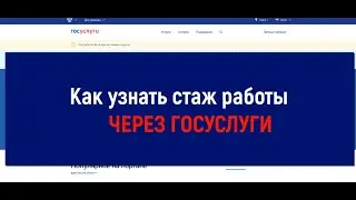 Как узнать стаж работы через госуслуги - пошаговая инструкция