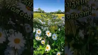 С добрым утром понедельника