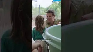 Grace visits the wildlife hospital