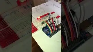 By microcontroller LED blinking software please subscribe friend's 🤌🙏