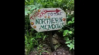 Save the Northern Meadows Walk