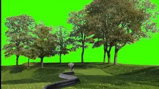 Trees Green screen effects