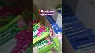 Гуляю по ЛеманаПро 