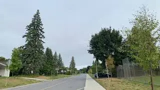 Morning walk 