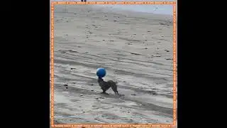 Мастер Мяча!