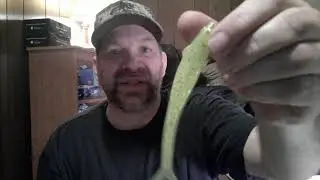 SWAMPRO Lures unboxing