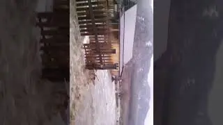 село Алтайское  потоп 2018 -2