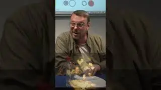 Рембрандт и соратники