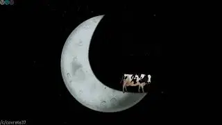Dancing cow in the moon