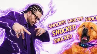 Shocked My Dawg It's Not Enough